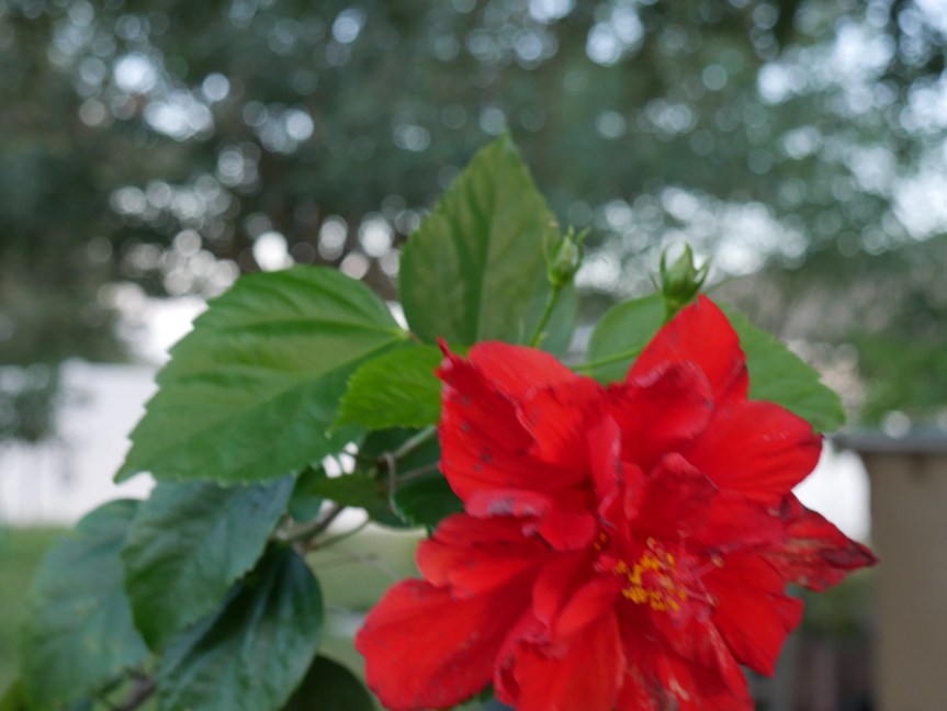 A Desire for So Much&nbsp;More