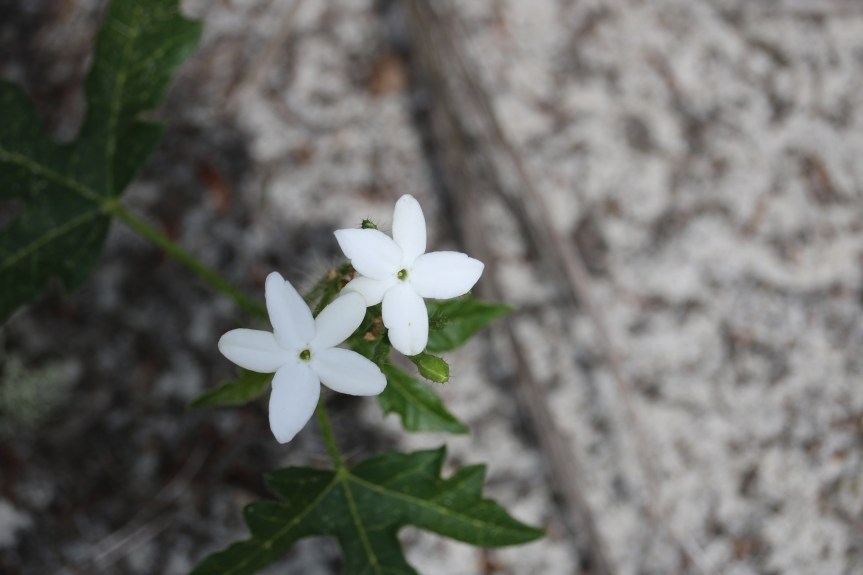 HE RISKED IT AL FOR&nbsp;US