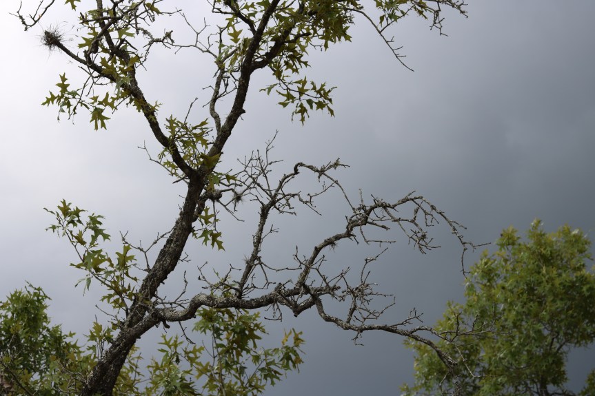 Mighty Things We Shall Soon&nbsp;See