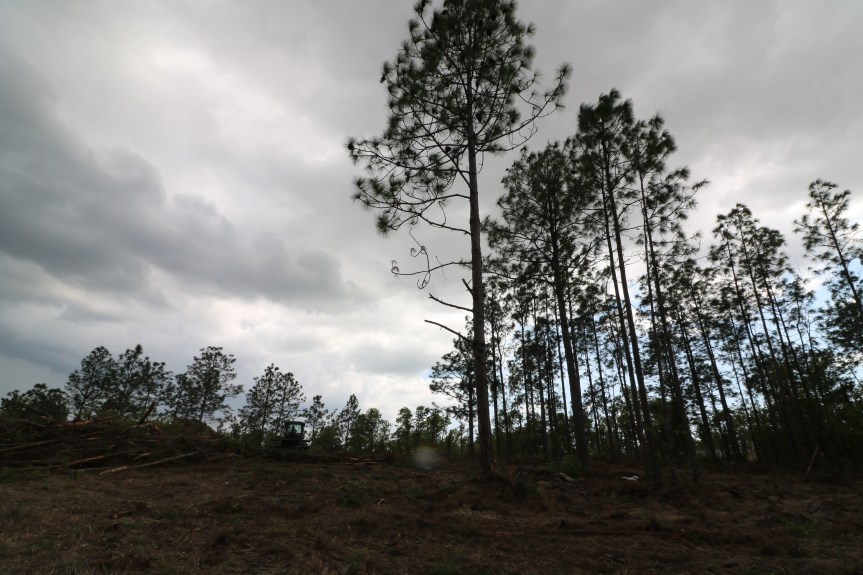 Joy oh Blessed Joy Where Have You&nbsp;Gone?