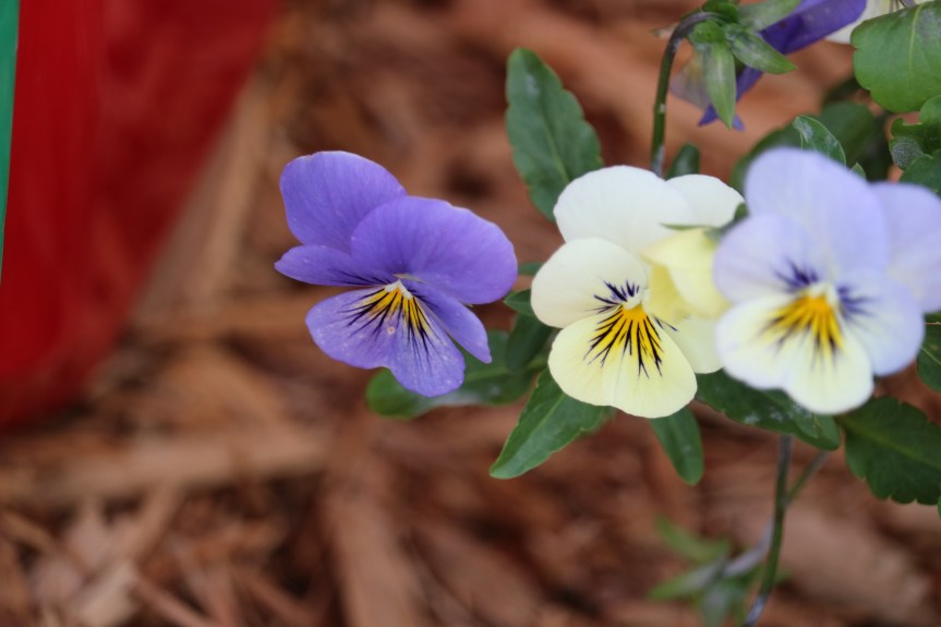 Happiness Acrostic 1