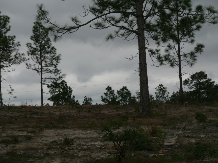 Foolish are My Hopes and Silly are My&nbsp;Dreams