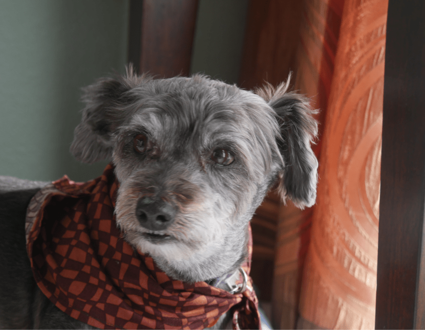 Friendship Acrostic 3 with&nbsp;narration