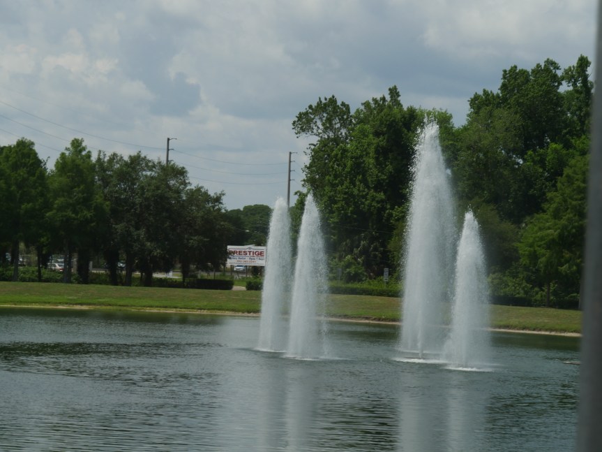 Its not easy to&nbsp;grow